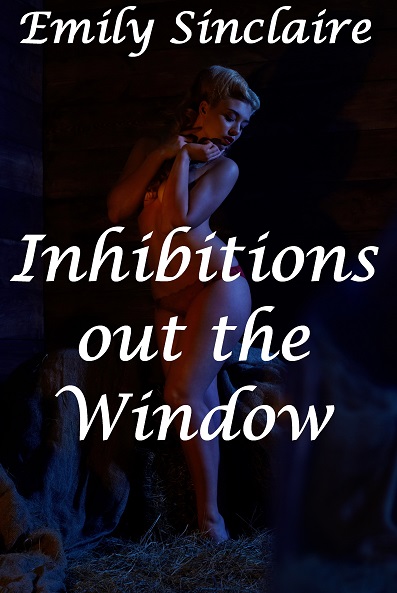 tninhibitions_window.jpg